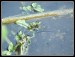 07jul 089.jpg